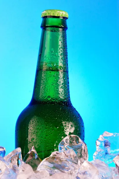 Green bottle Royalty Free Stock Photos