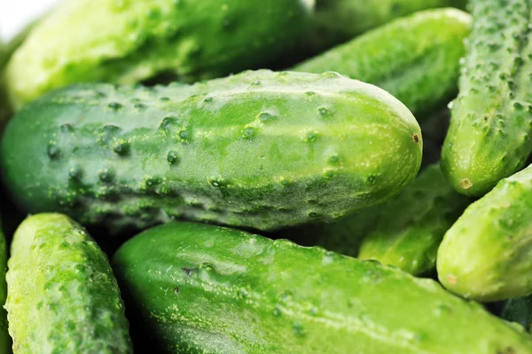 Groene komkommers. — Stockfoto