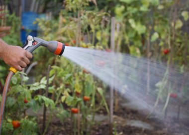 Watering garden clipart