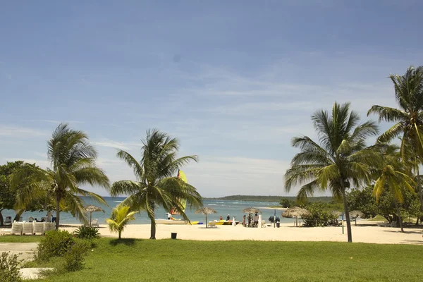 Карибский пляж — стоковое фото