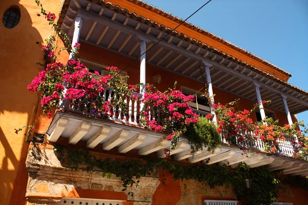 Dettaglio di una casa coloniale. balcone con fiori — Foto Stock
