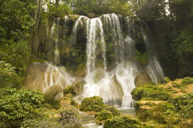 El Nicho waterfall clipart