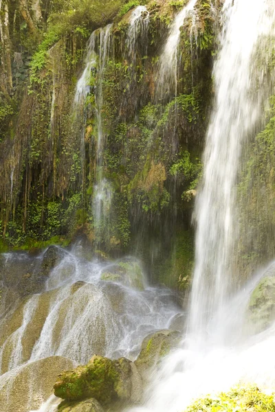 El Nicho waterfall — Stock Photo, Image