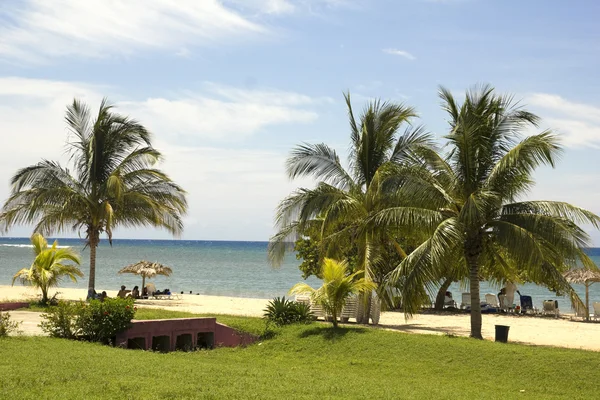 Praia do Caribe — Fotografia de Stock