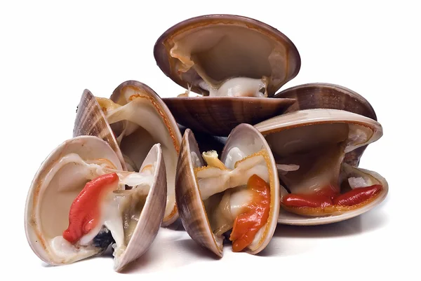 Färska musslor över vit bakgrund. — Stockfoto