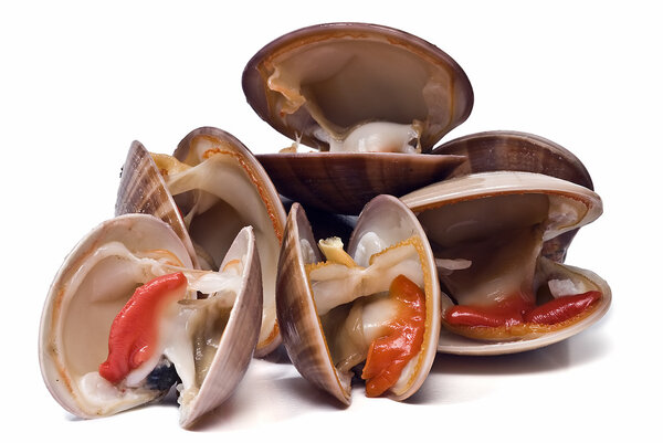 Fresh clams over white background.