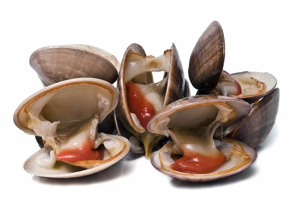 Clams to eat. — Stock Photo, Image