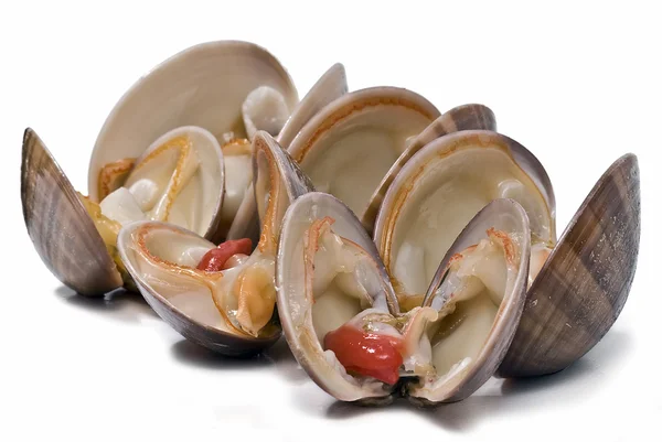 Clams over white. — Stock Photo, Image