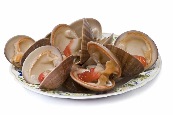 Plate of clams. — Stock Photo, Image