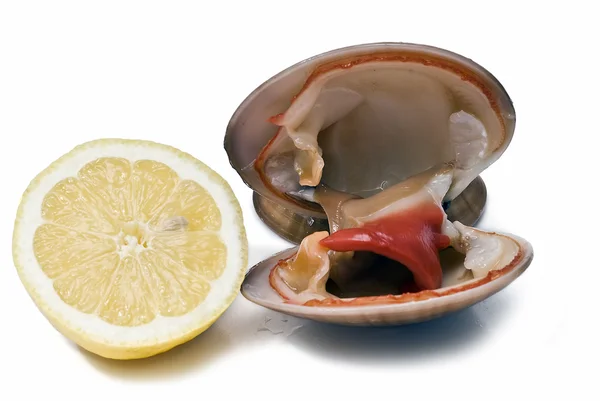 Deniz tarağı ve limon. — Stok fotoğraf