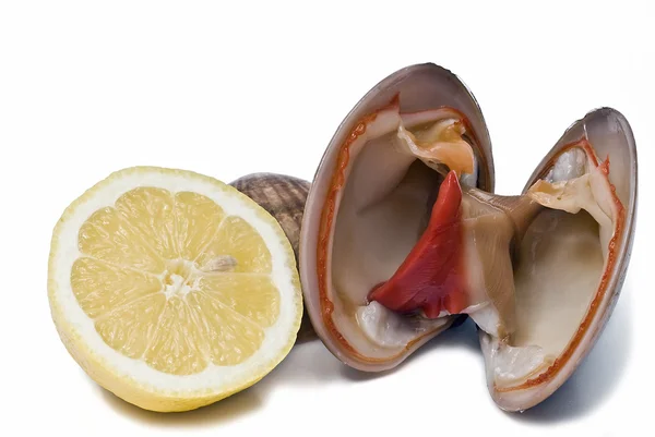 Open clam and lemon. — Stock Photo, Image
