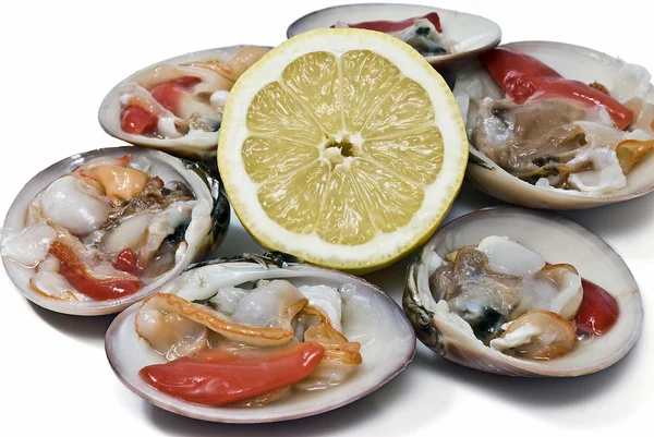 Smooth clams and lemon. — Stock Photo, Image