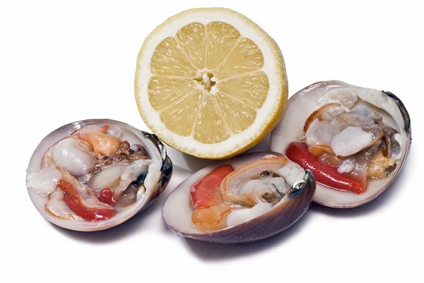 Clams and lemon to eat. — Stock Photo, Image