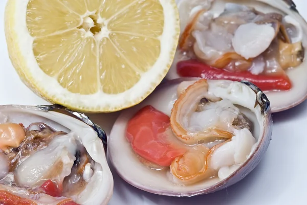 Raw clams and lemon. — Stock Photo, Image