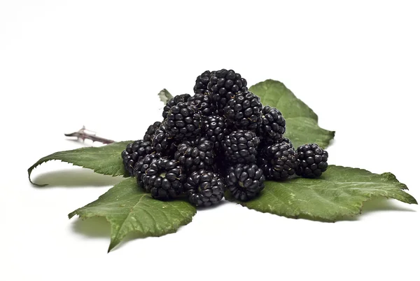 Blacberries sobre uma folha . — Fotografia de Stock