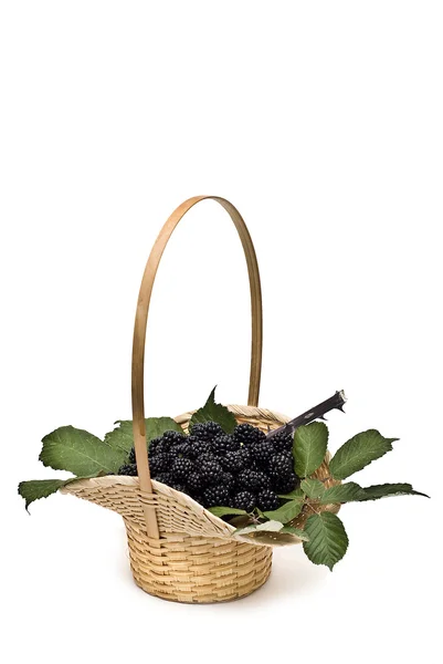 黑莓一篮子. — 图库照片