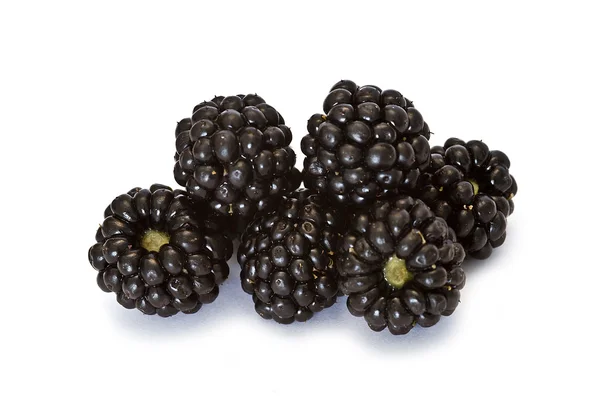 Blackberries на белом фоне . — стоковое фото