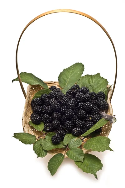 黑莓在篮子里. — 图库照片