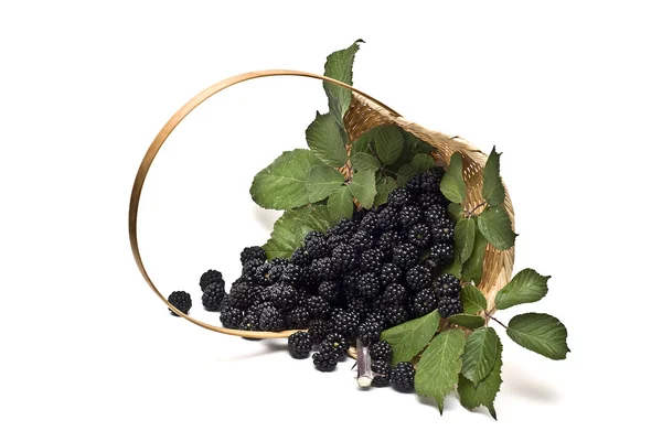 新鲜的黑莓与购物篮. — 图库照片