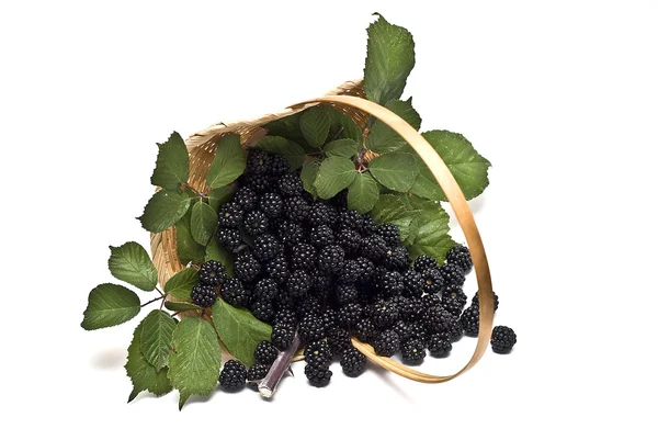 新鲜的黑莓在篮子里. — 图库照片