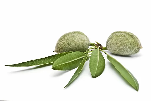 Ένα ζευγάρι πράσινο αμύγδαλα. — Φωτογραφία Αρχείου