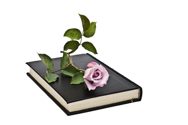 Kwiat na książce. — Zdjęcie stockowe