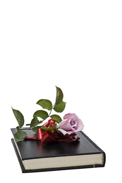 A book and a rose for a gift. — Stock Photo, Image