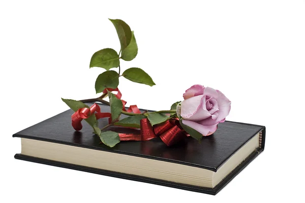 Kniha a růže. — Stock fotografie