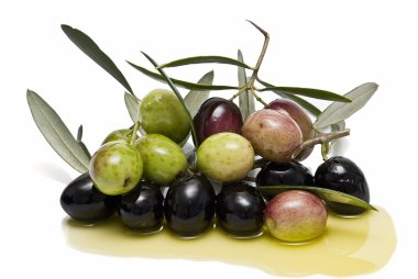 Olives covered in oil. clipart