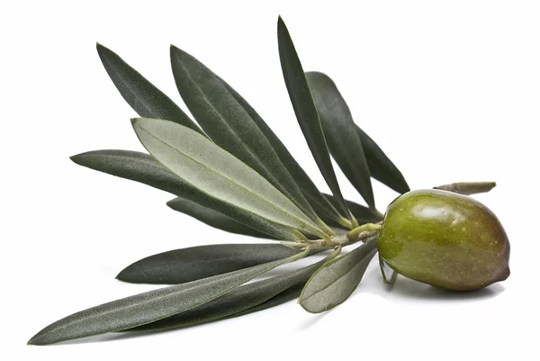 Green olive to make oil. — Stock Photo, Image