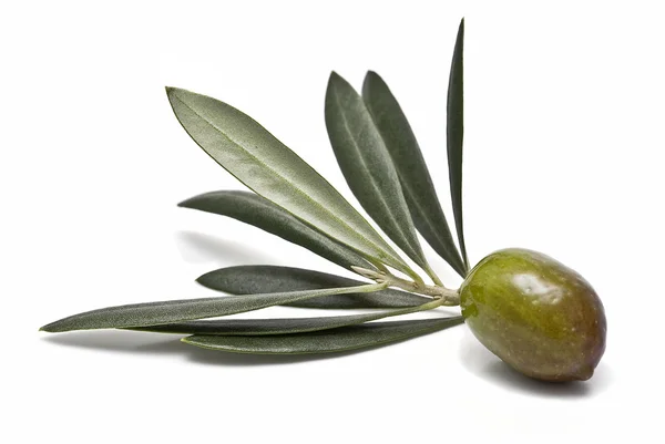 Крупный план из зеленой оливки . — стоковое фото
