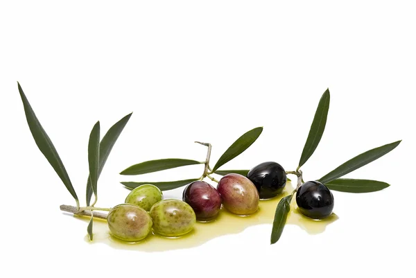 Verschillende soorten olijven. — Stockfoto