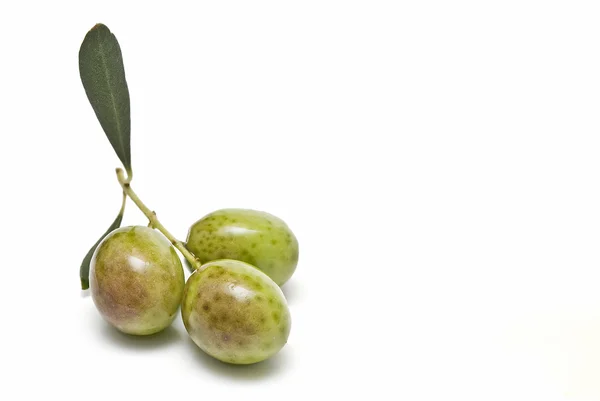 Trzy zielone oliwki. — Zdjęcie stockowe
