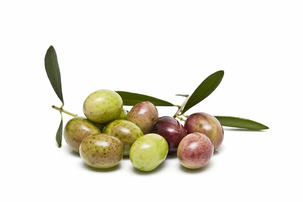 Olive di buona qualità . — Foto Stock