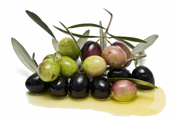 Oliven mit Öl bedeckt. — Stockfoto