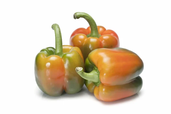 Tři červené a zelené papriky. — Stock fotografie