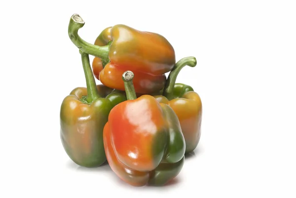 Colorful peppers. — Stock Photo, Image