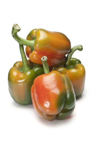 Peperoni freschi colorati . — Foto Stock