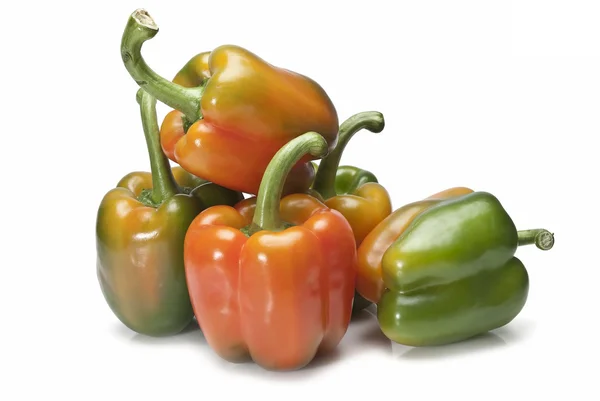 Fresh peppers to cook. — Stock Photo, Image