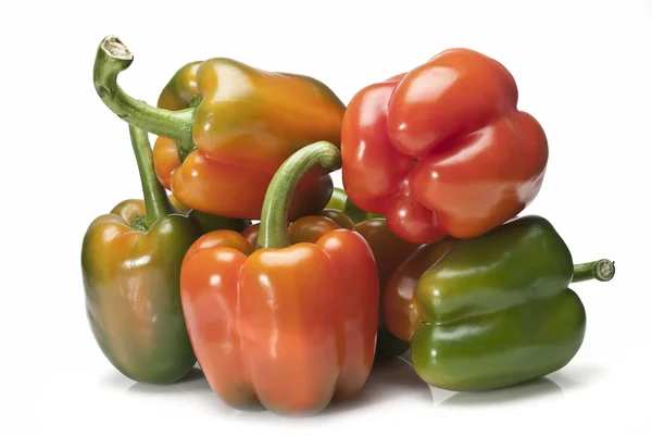 Červená a zelená paprika. — Stock fotografie