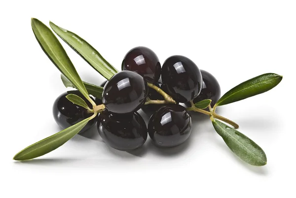 Grenar med svarta oliver. — Stockfoto