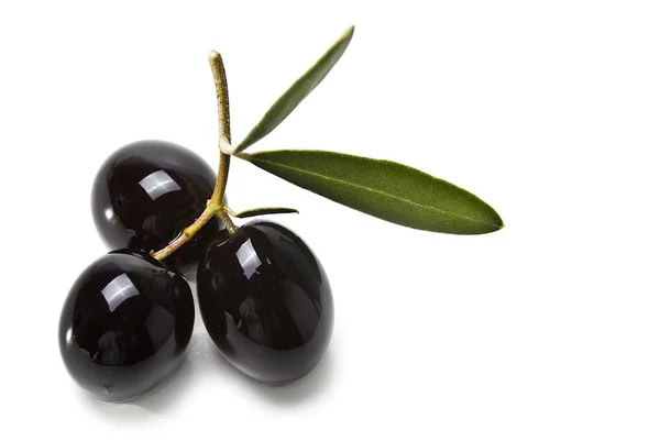 Three black olives with leaves. — Stock Photo, Image