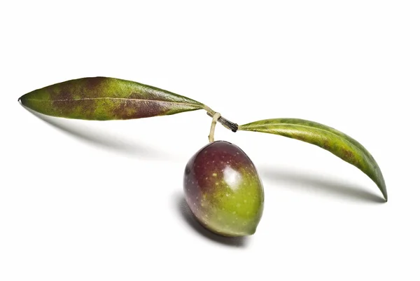 Olive con un paio di foglie . — Foto Stock
