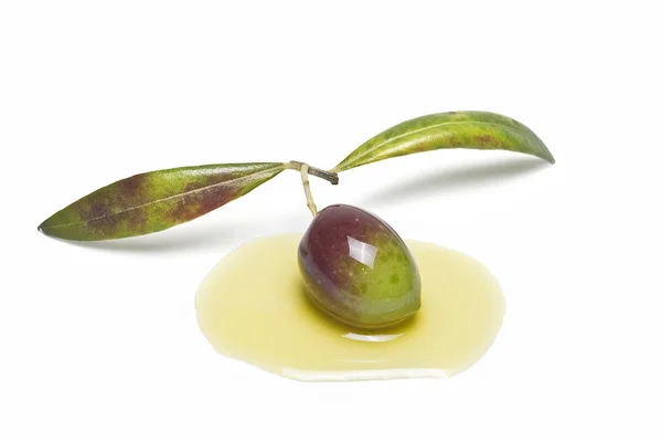 Olive covered in oil. — Stock Photo, Image