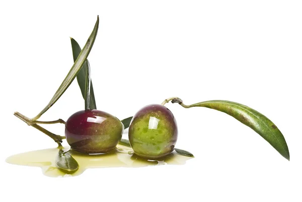 Оливки, чтобы сделать масло . — стоковое фото