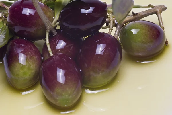 Colorful olives. — Stock Photo, Image
