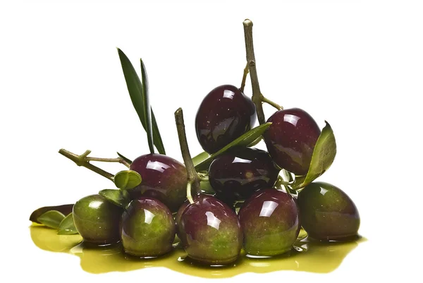 Olive e olio . — Foto Stock