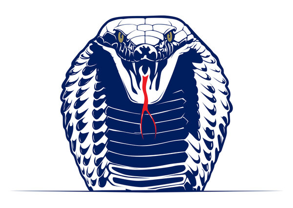 Cobra snake