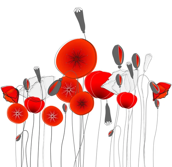 Beautiful poppies illustration — Stock Vector