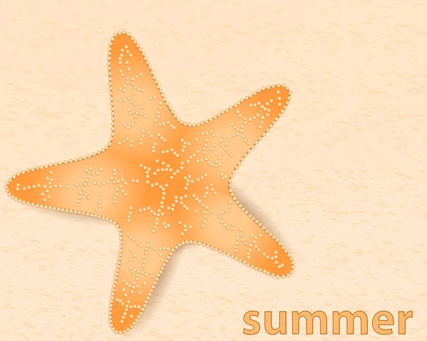 Ilustração de verão com estrela do mar — Vetor de Stock